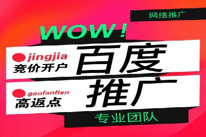 谷歌SEM广告投放的ROI优化：一家科技公司的成功经验